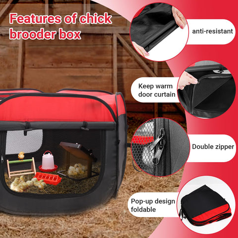 FAMIROSA chicken feeder keeps feed accessible and reduces waste.