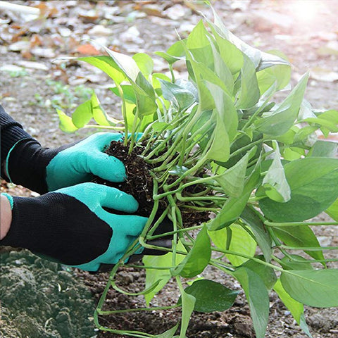 Famoy Claw Gardening Gloves back-of-hand fabric is breathable to keep hands cool