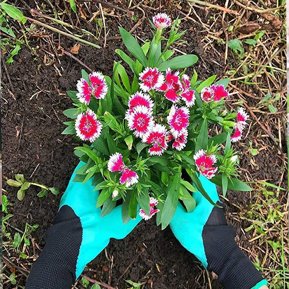 Famoy Claw Gardening Gloves worn during digging to shield fingers while working soil