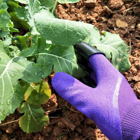 Famoy Claw Gardening Gloves breathable back to reduce sweating.