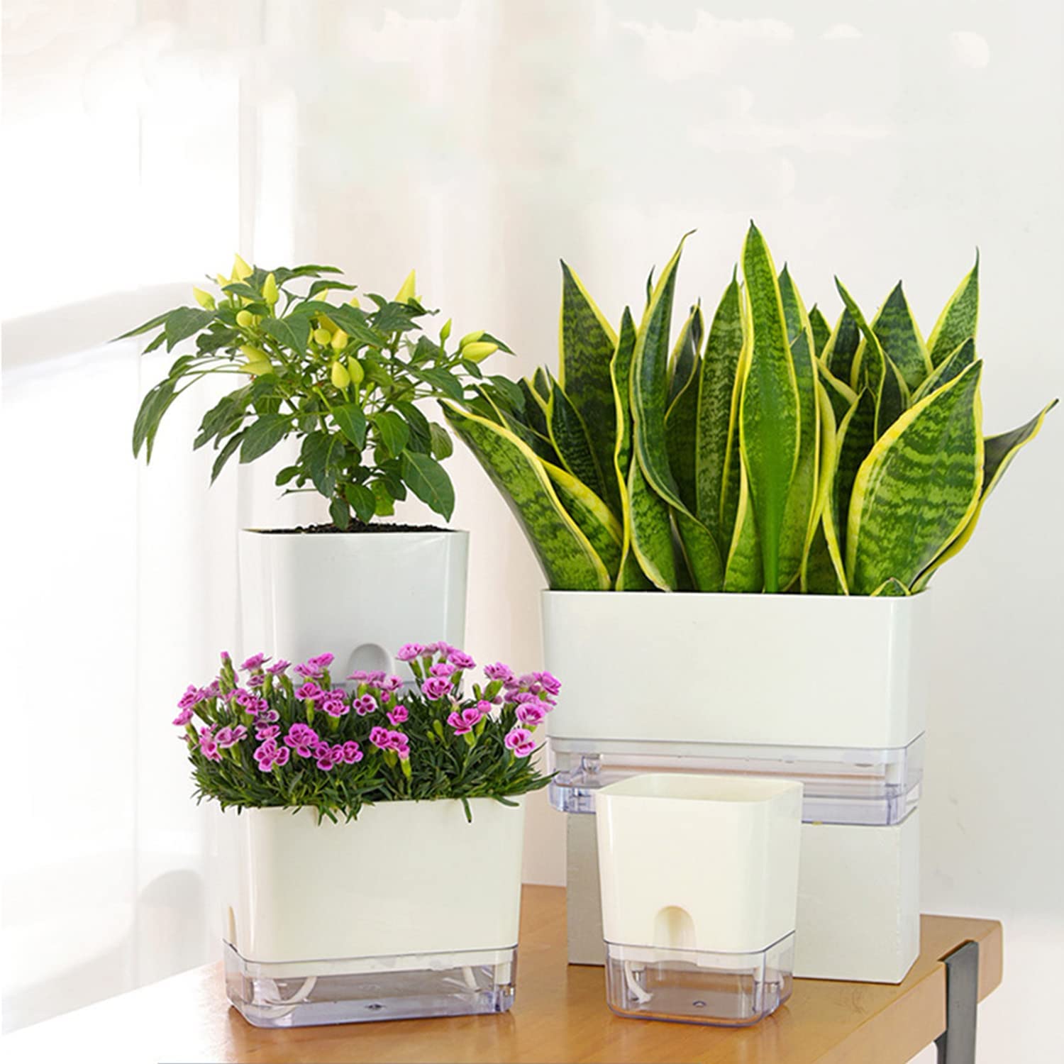 FAMZ self-watering planter side view with clear water window.