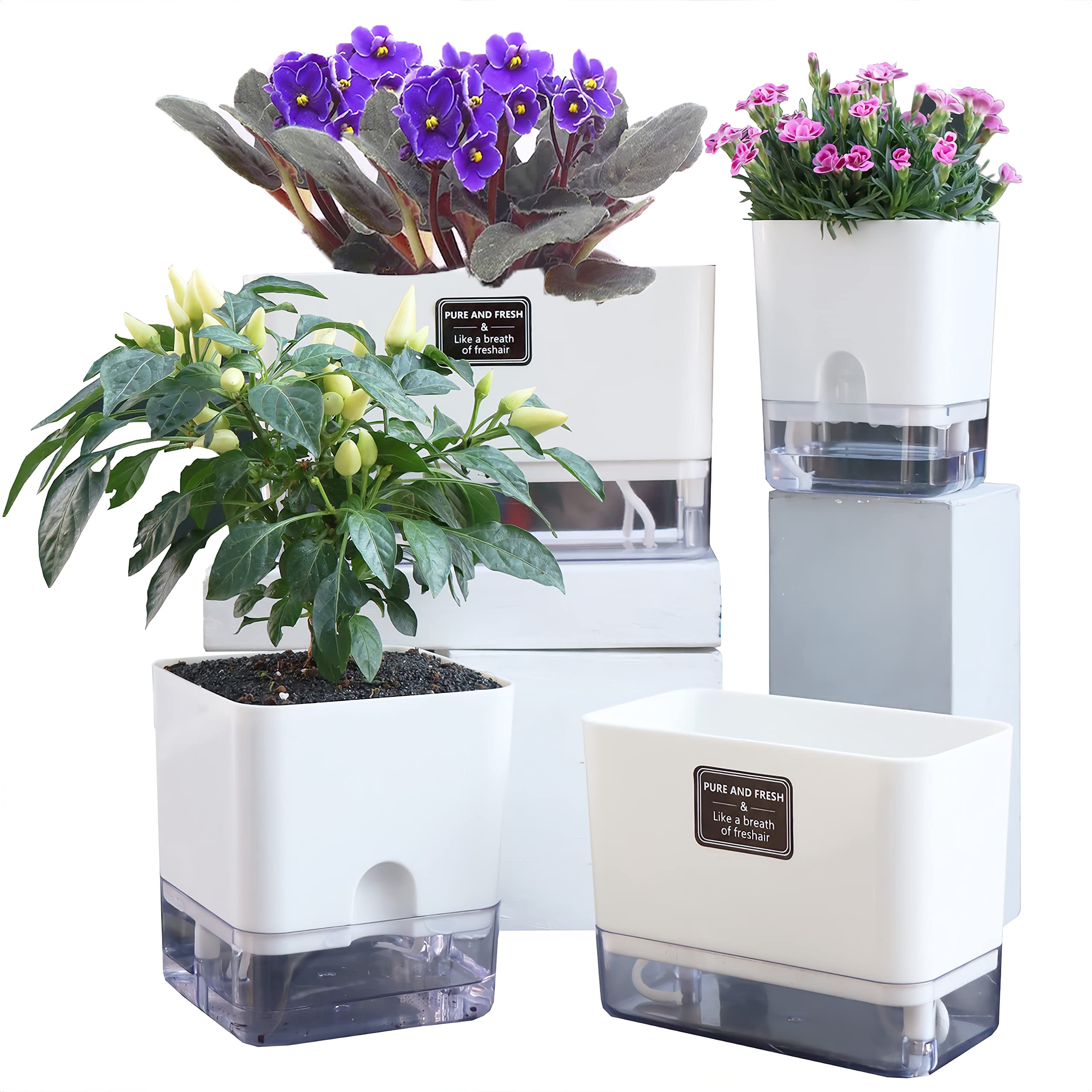 FAMZ self-watering planter top view for a compact indoor garden.