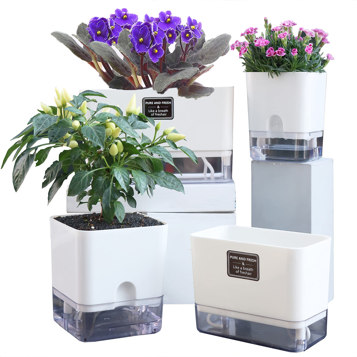 FAMZ self-watering planter top view for a compact indoor garden.