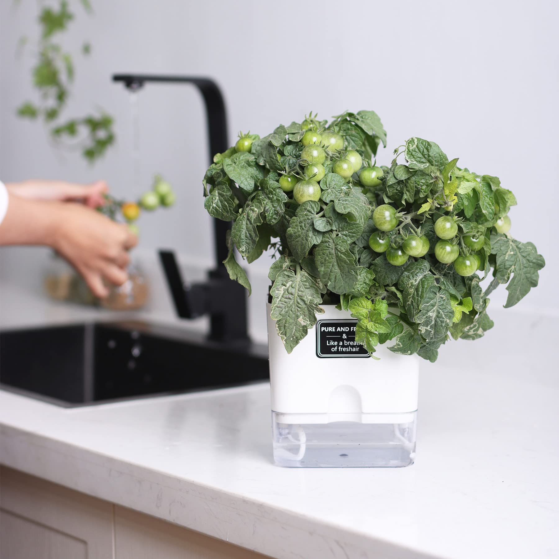 FAMZ planter water window helps monitor moisture levels.