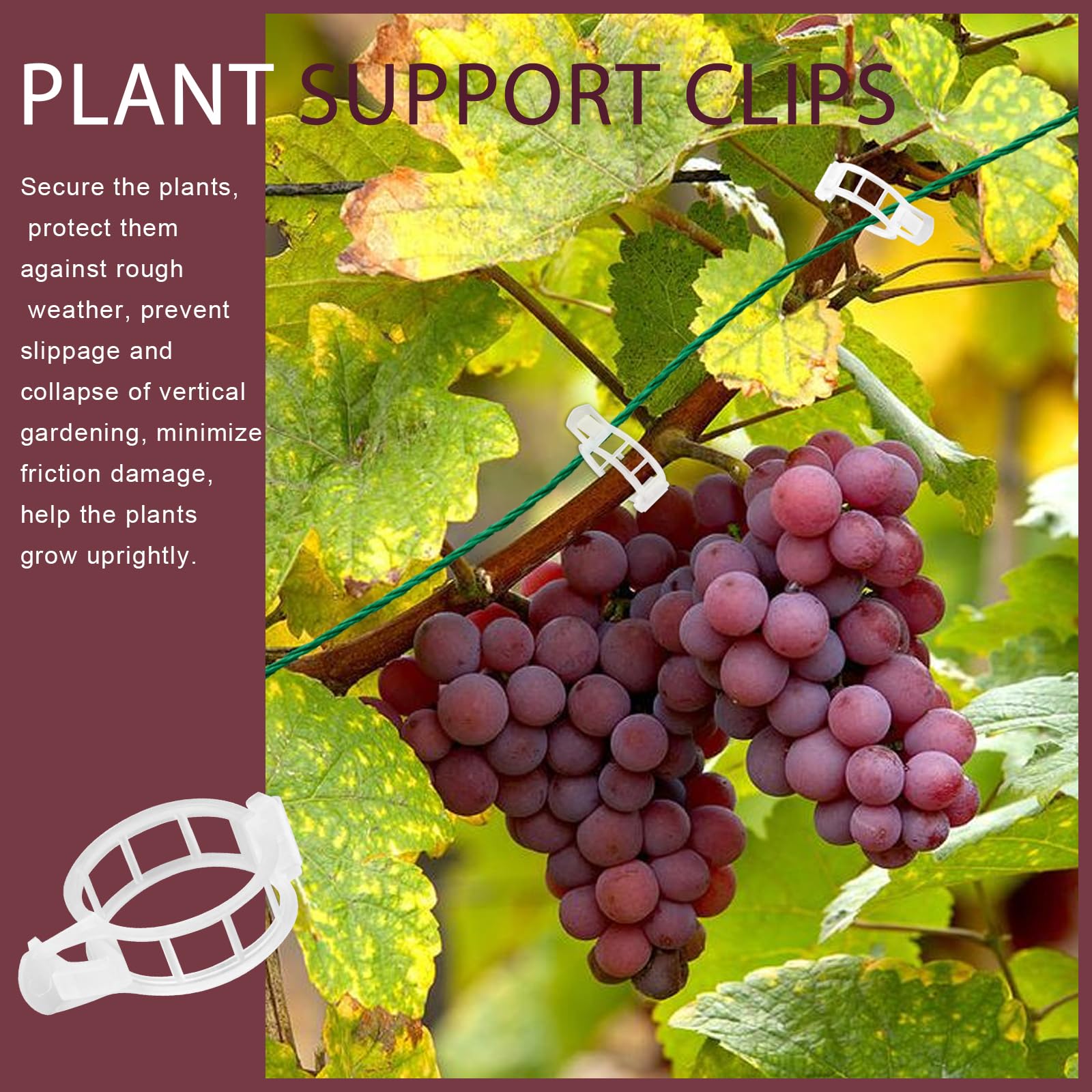 Fandamei snap-on design saves time during garden training of vines.