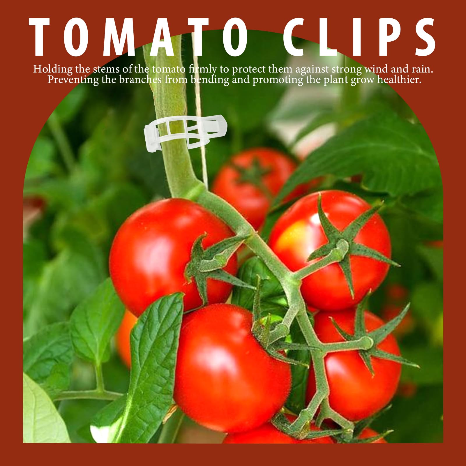 Fandamei tomato clips attached to a stem with easy snap-on action for secure growth.