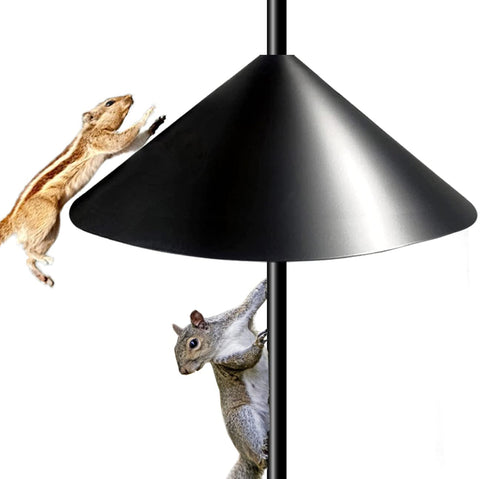 Fandature 19-inch PP squirrel baffle on a pole protects bird feeders from pests.