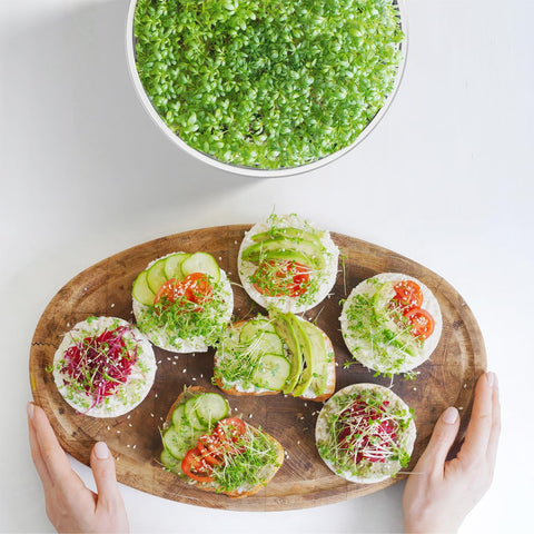 FANHAO base trays with smooth surface for easy cleaning and reuse.