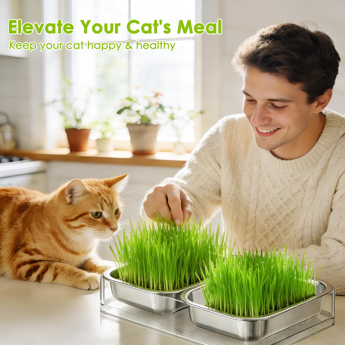 FANHAO durable, non-toxic sprouting trays are easy to wipe clean