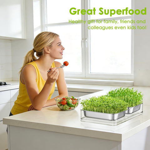 FANHAO gift-ready seed sprouting tray box suitable for birthdays and holidays