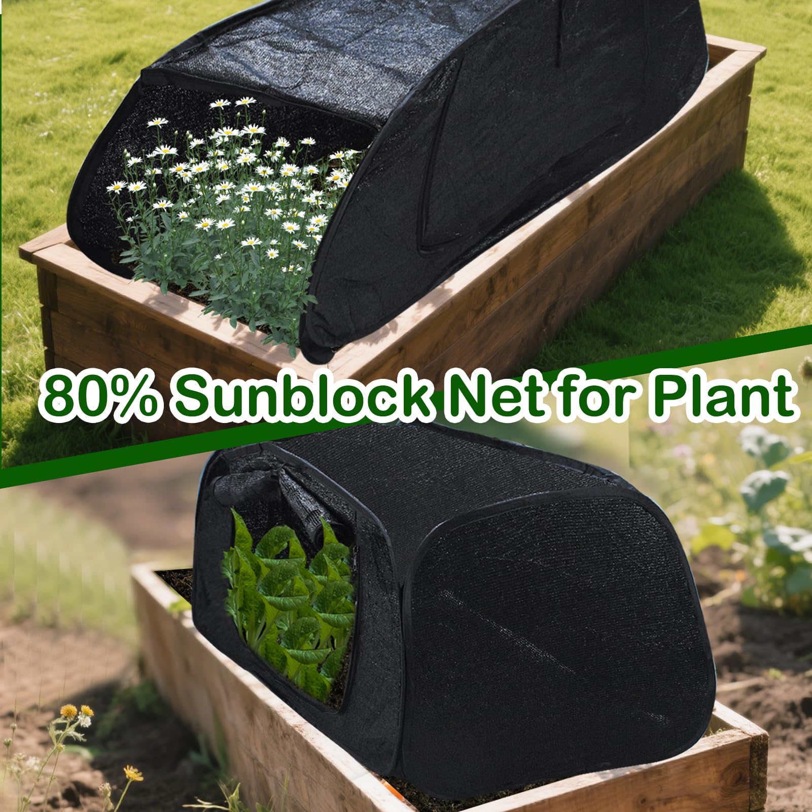 Fantang observation window design allows quick plant checks with minimal disturbance.