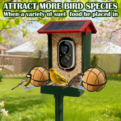 Great gift for bird lovers seeking durable outdoor feeders.