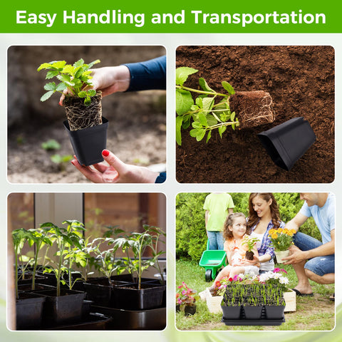 Compact 3.5-inch Fantasyon nursery pots on a tidy workspace