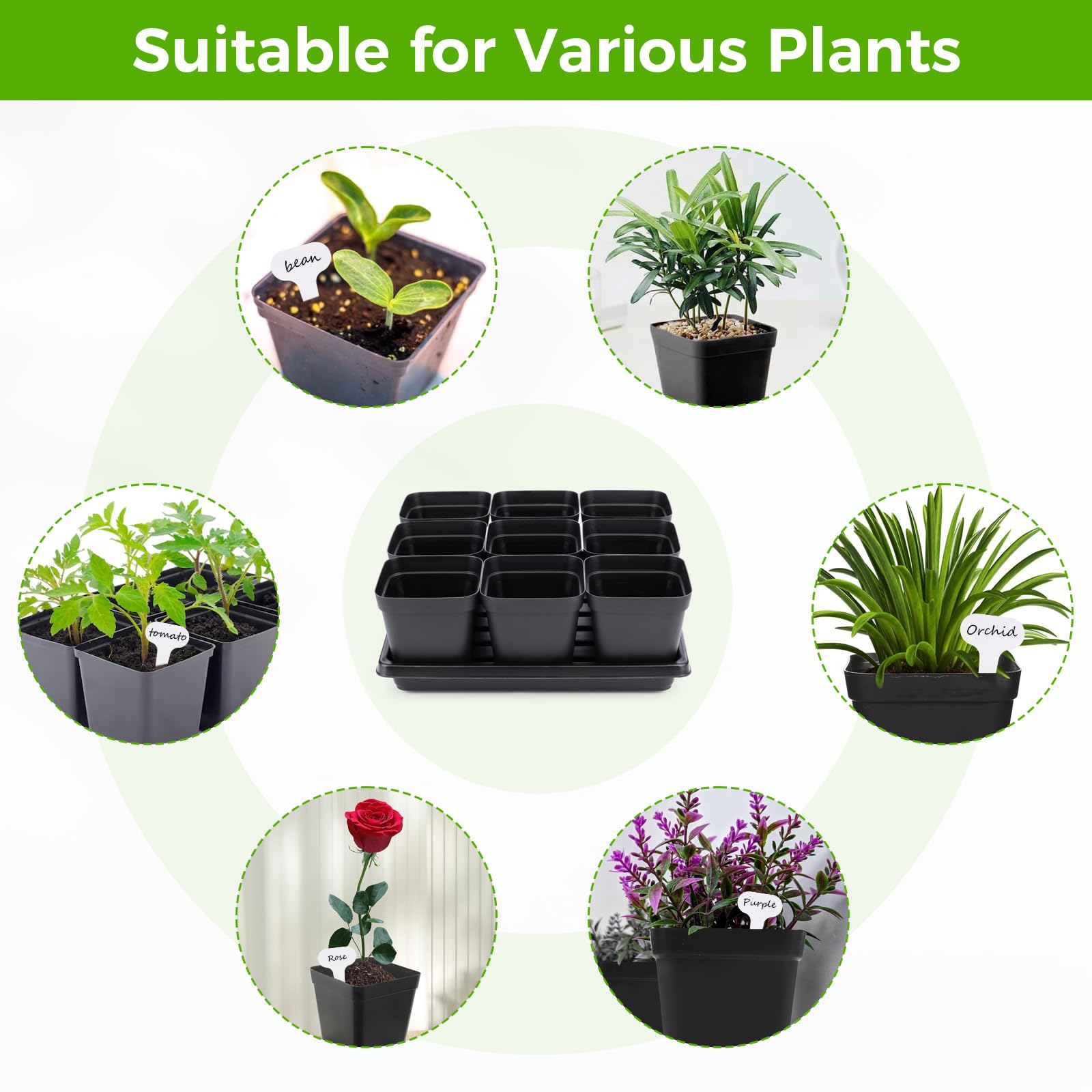 Seed starter pots with drainage holes for healthy root growth