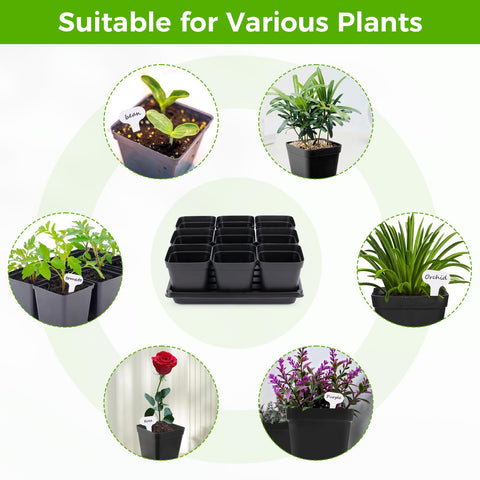 Seed starter pots with drainage holes for healthy root growth