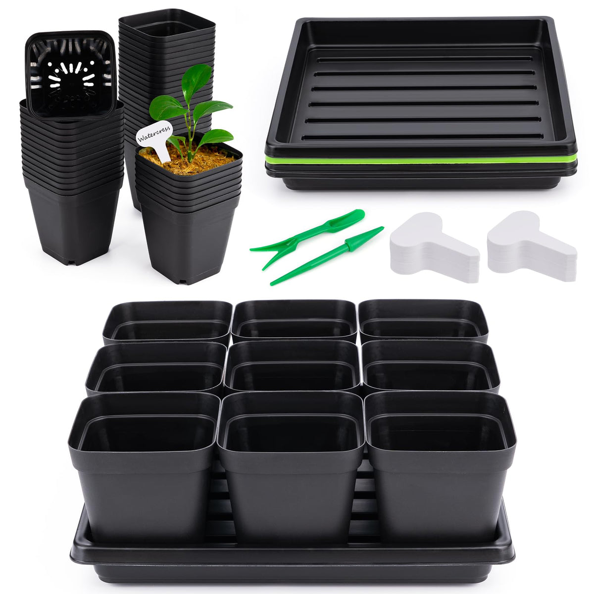 Fantasyon seed starter kit with 50 pots arranged for germination and planning