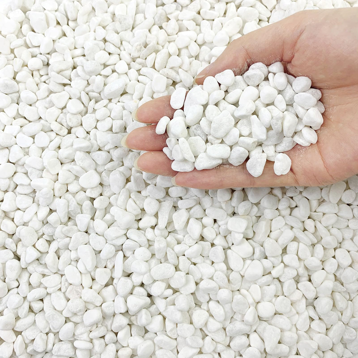 FANTIAN 10lb natural white succulent gravel in planter for aesthetic display.