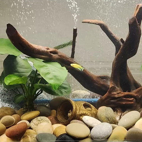 FANTIAN 10lbs river rocks suitable for aquarium decor