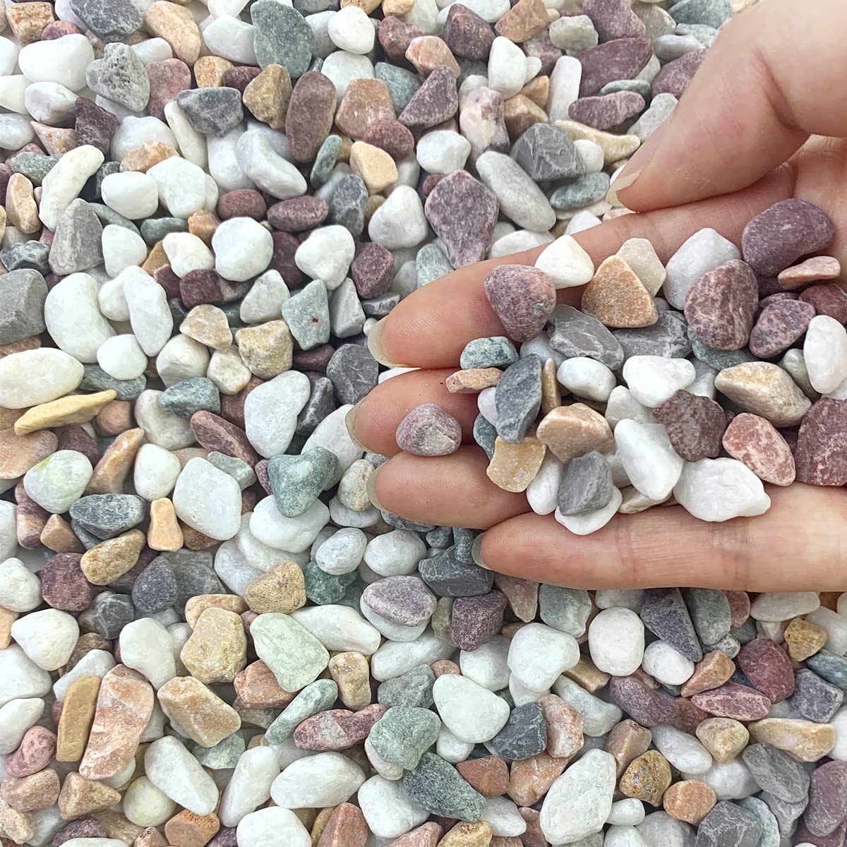 FANTIAN 2lb mixed color pea gravel close-up for colorful succulent displays.