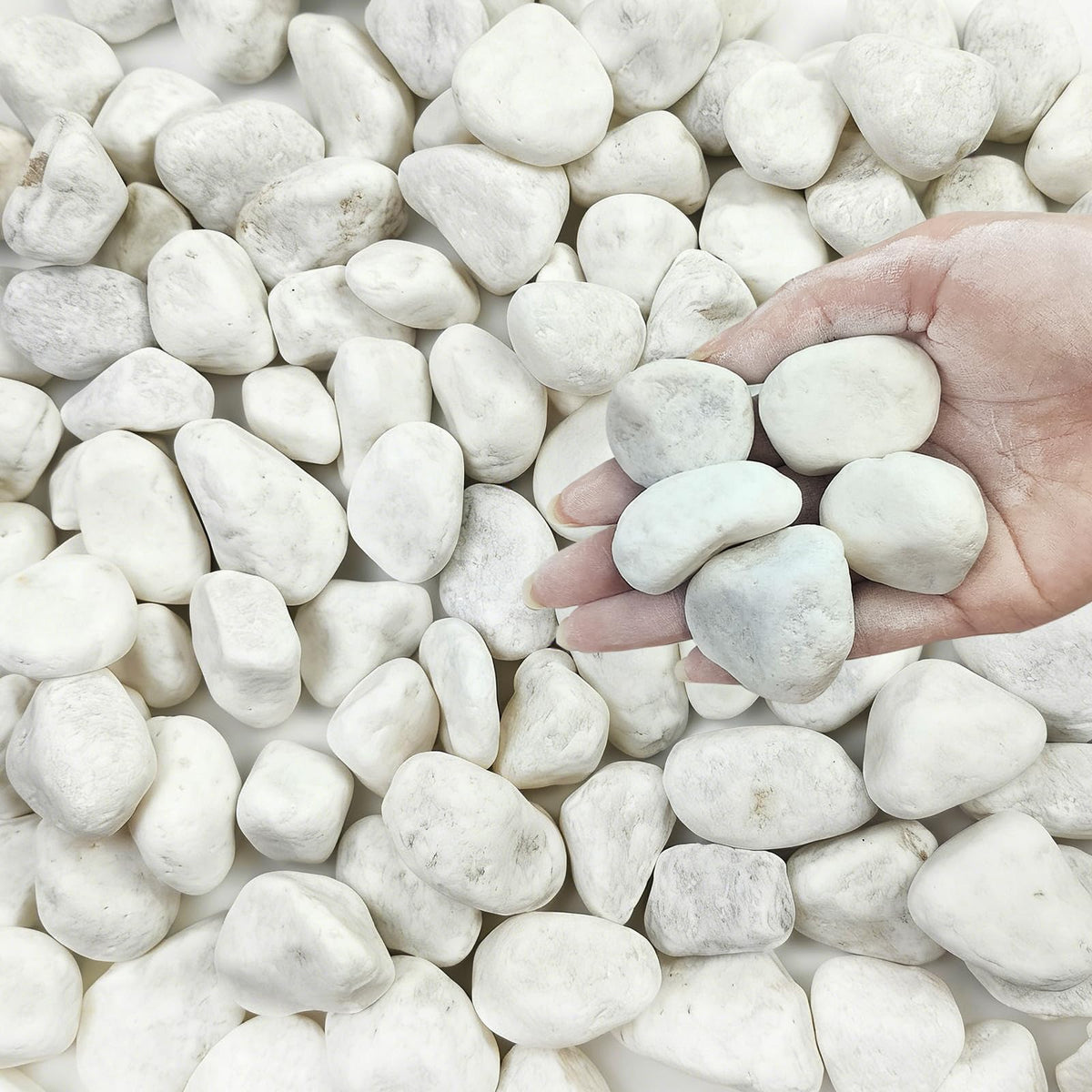 FANTIAN white rocks 40lbs for landscaping, 1-2 inch, ideal for borders and pathways