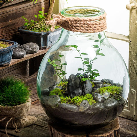 FANTIAN black river rocks close-up show durable, 1-2 inch decorative stones for pots.