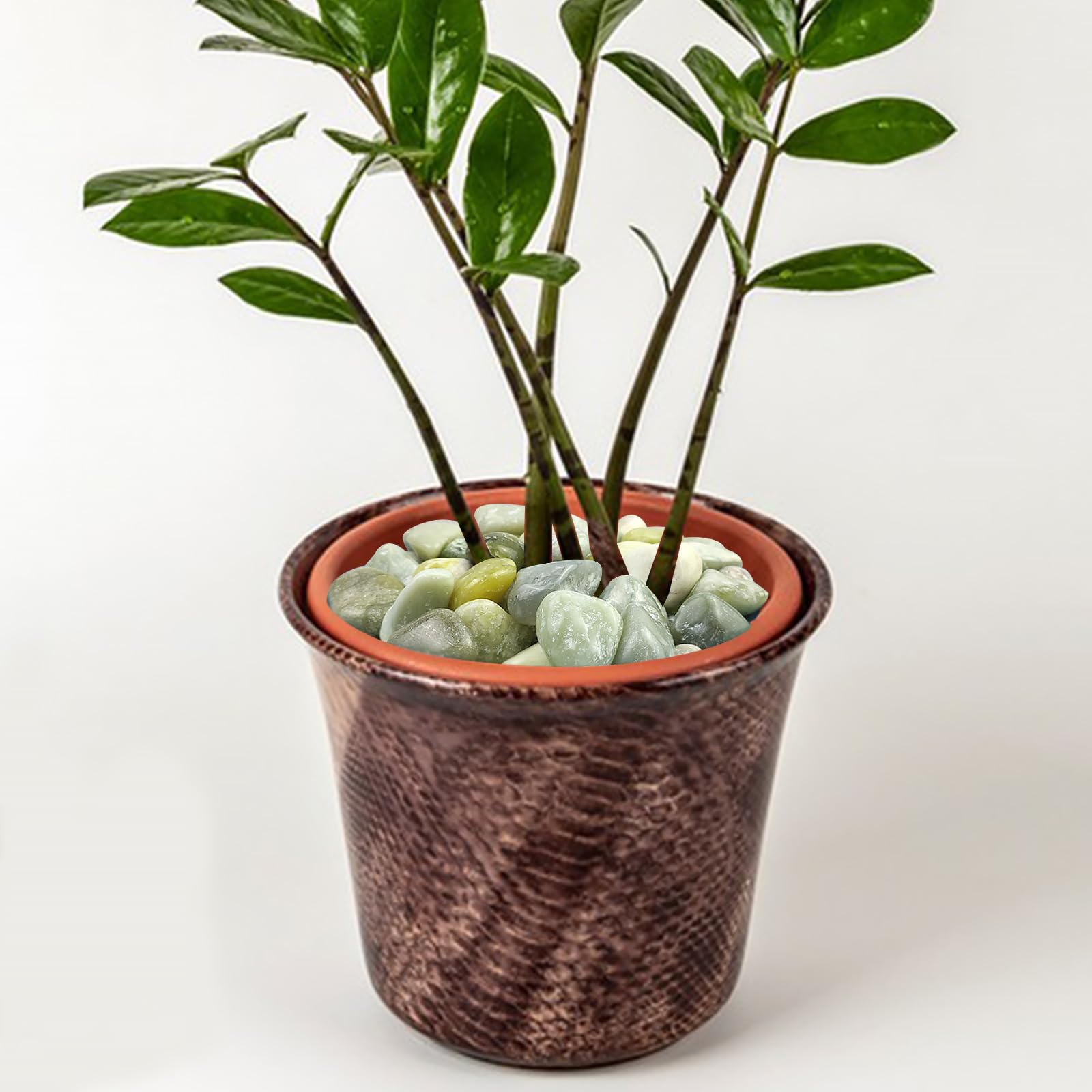 FANTIAN Jade Rocks as terrarium filler enhancing natural look.