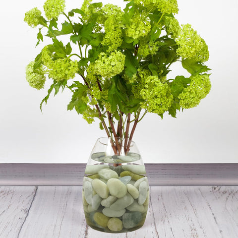 FANTIAN Jade Rocks brightening yard and garden beds with color and texture.