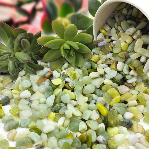 FANTIAN Jade pebbles top layer for flowers and bowls keeps soil tidy.