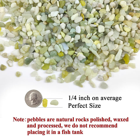 FANTIAN jade pebbles on succulent display add texture and color.