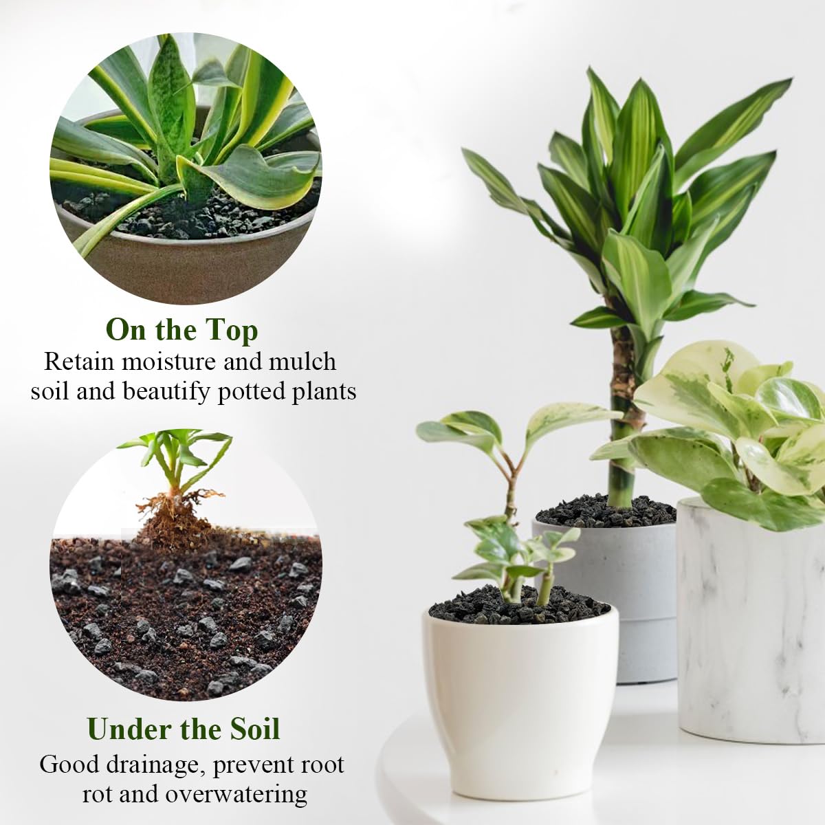 FANTIAN lava rocks used as bonsai mulch for moisture retention and weed suppression
