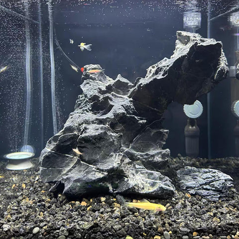 FANTIAN lava rocks in garden landscaping add natural texture and durability