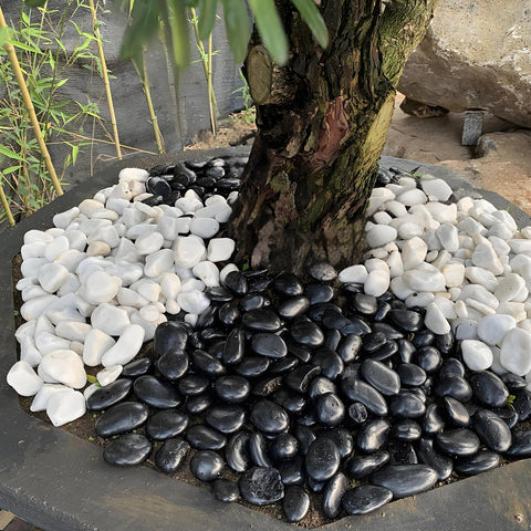 FANTIAN natural non-toxic pebbles ensure safe indoor use