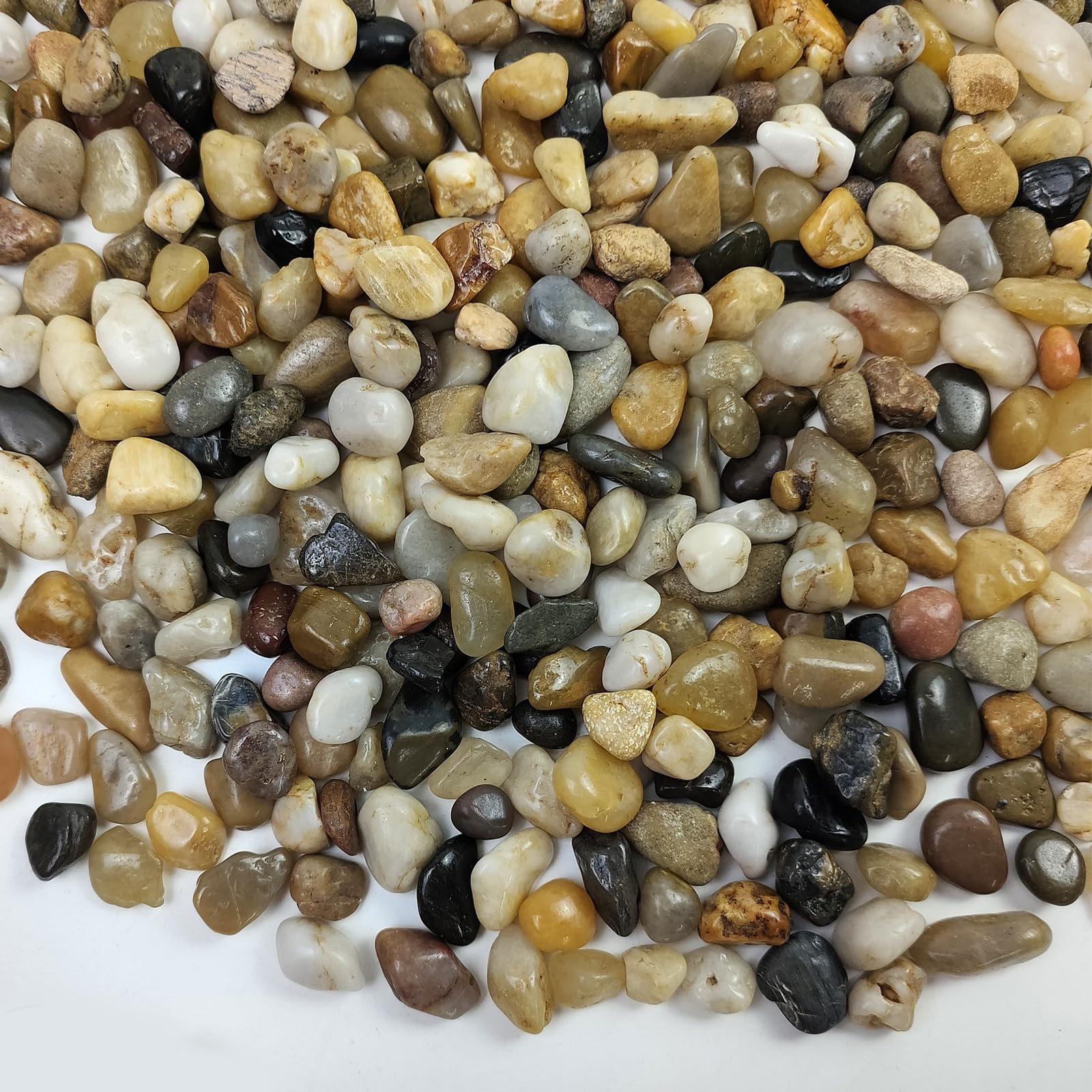 FANTIAN polished pebbles 3/8 inch for decorative indoor displays that enhance plant contrast.