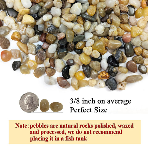 FANTIAN polished pebbles as succulent soil cover for a tidy, vibrant arrangement.