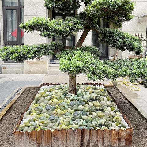 FANTIAN plant rocks provide drainage and stability for potted plants