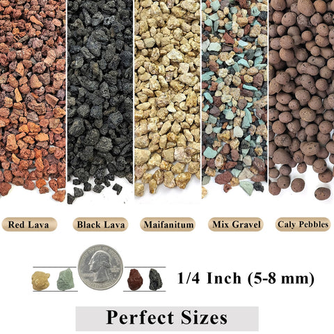 FANTIAN pumice soil additive supporting moisture retention for succulents.