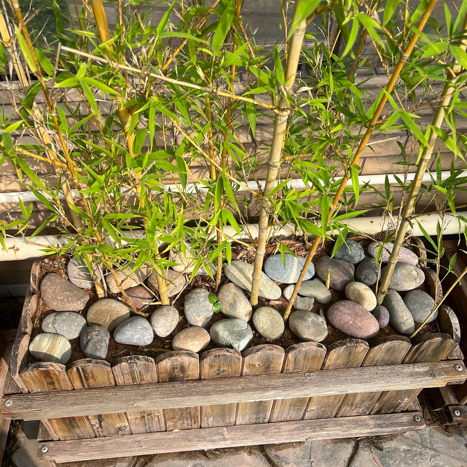 Fantian river rocks for fairy gardens and terrariums