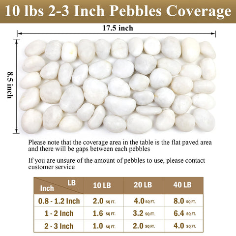 FANTIAN smooth white pebbles for glass containers and terrariums.