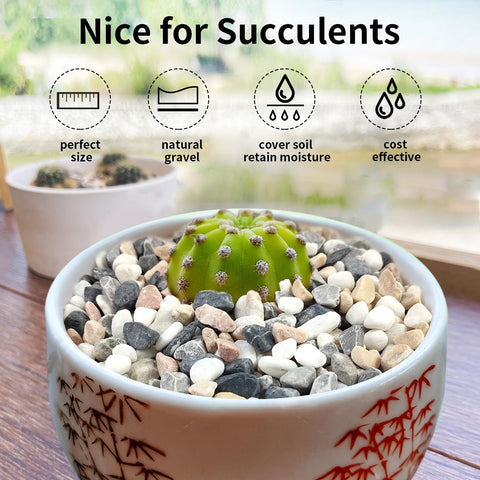 FANTIAN pebbles in indoor planters, improving drainage and look.