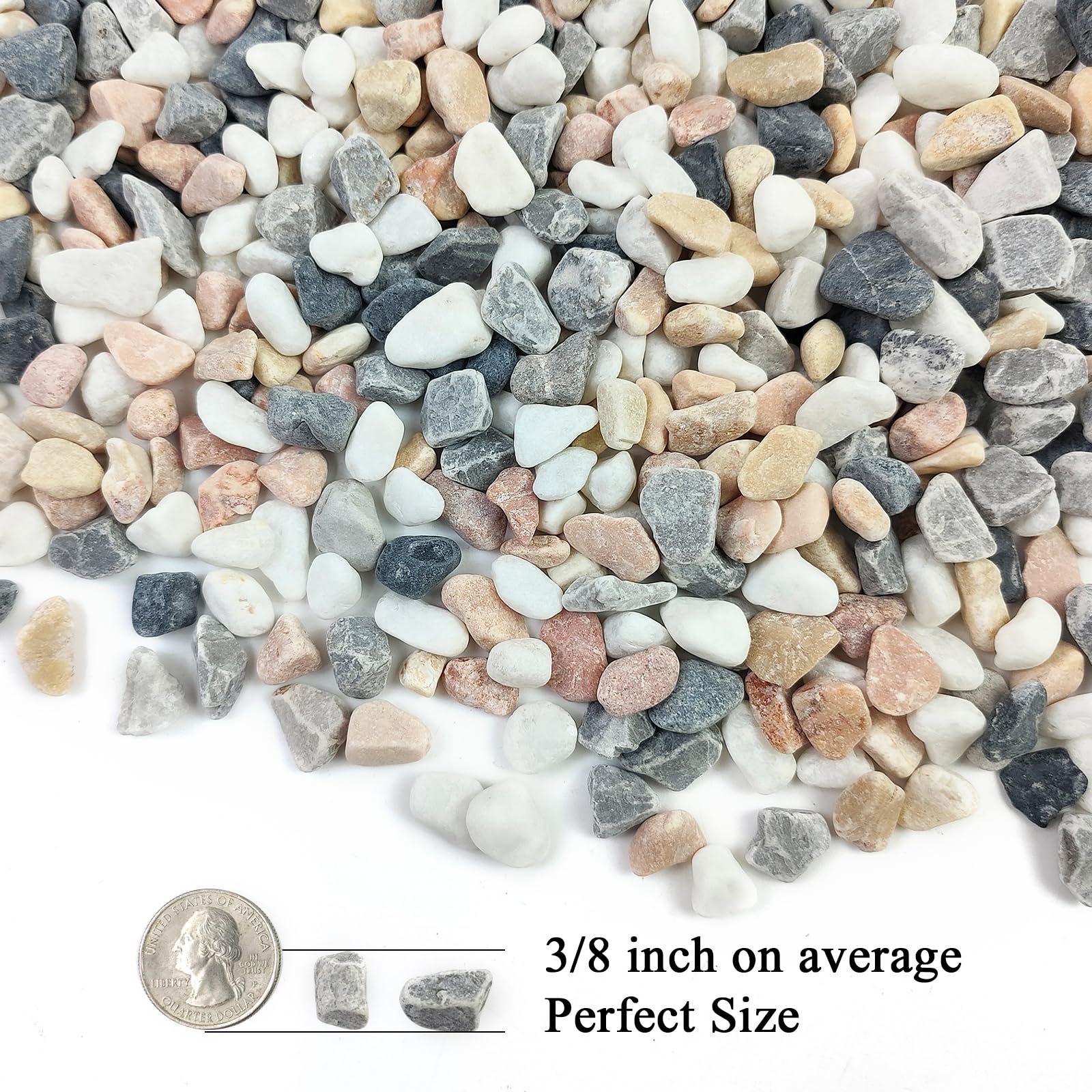 FANTIAN pebbles for vase decor that prevent soil splash.