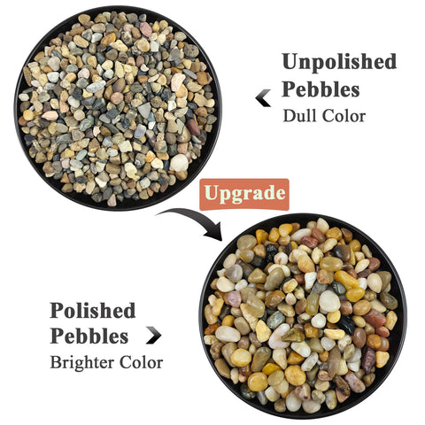 FANTIAN succulent soil-cover rocks add color and protect root zones in pots.