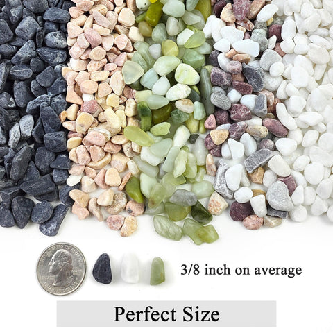 FANTIAN white pea gravel for succulents top layer keeps soil tidy.