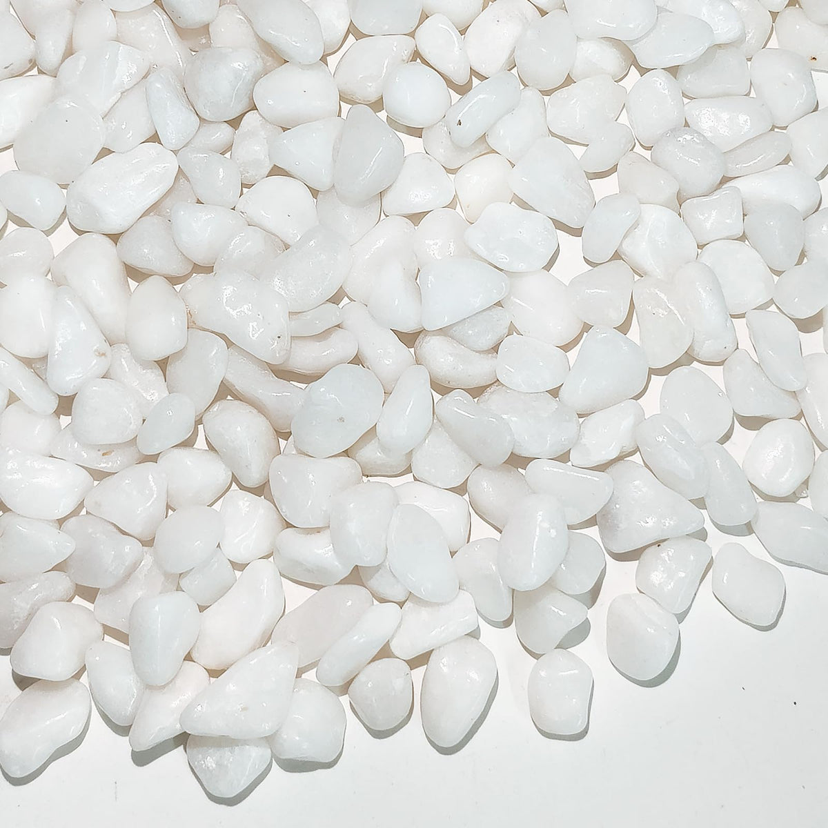 FANTIAN white pebbles 3-8 inch pack for plant pots enhances soil presentation.