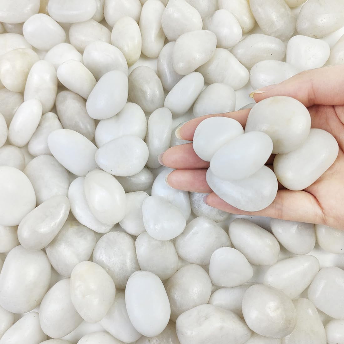 FANTIAN white pebbles in indoor plant pots for drainage and style