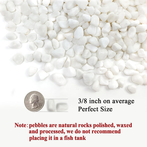 FANTIAN white pebbles decorates indoor plants with a clean, modern finish.