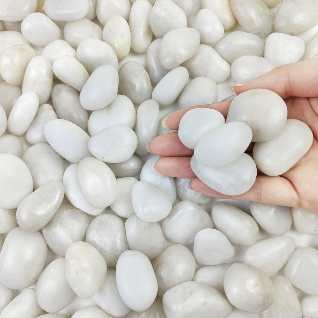 FANTIAN white pebbles for plant pots improve drainage and soil aesthetics.