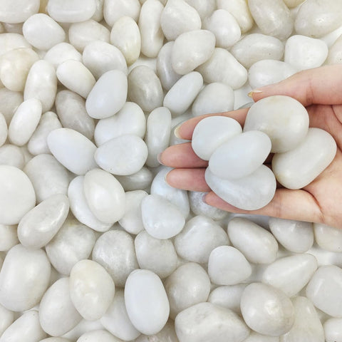 FANTIAN white pebbles for plant pots improve drainage and soil aesthetics.