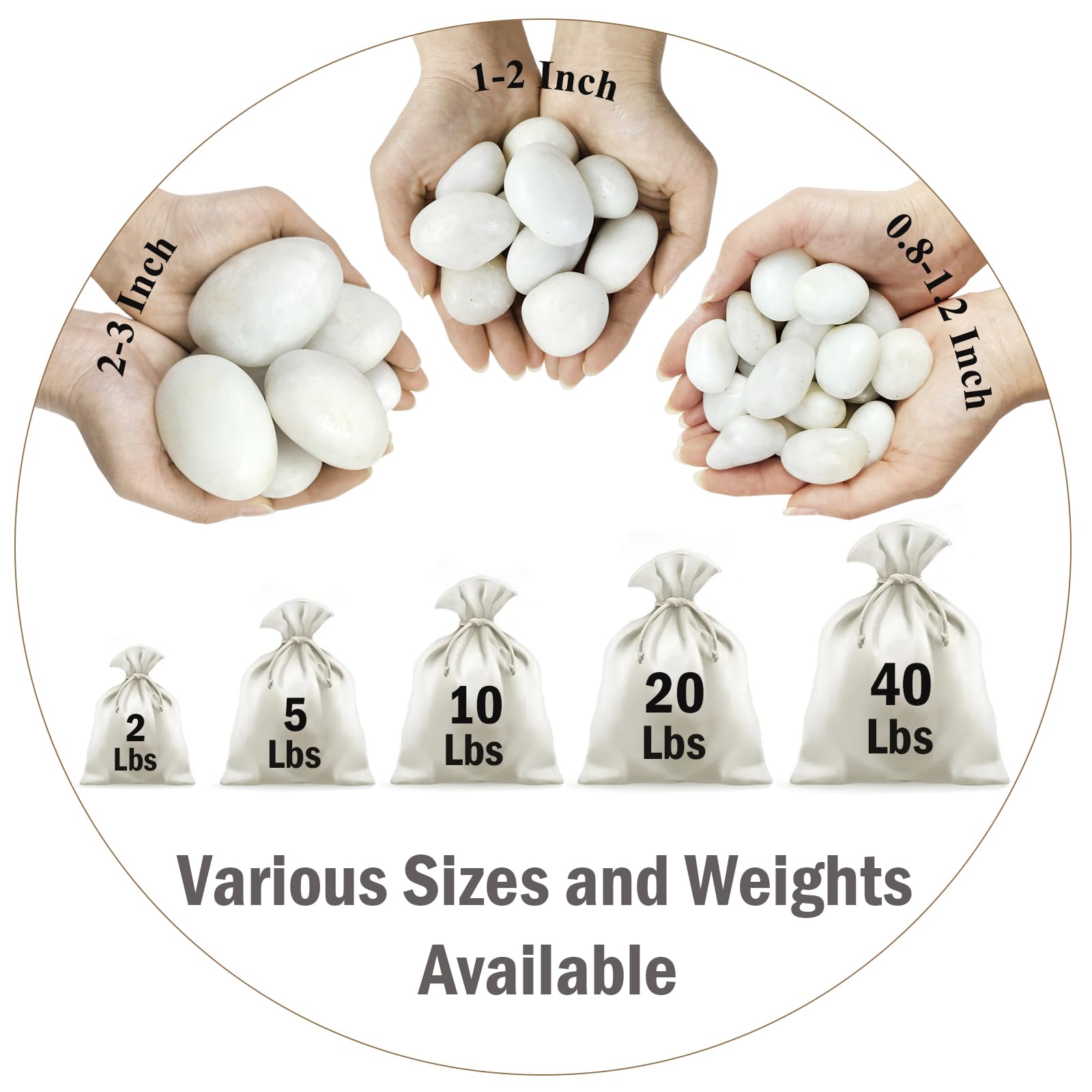 FANTIAN white pebbles around succulents improve drainage and look natural