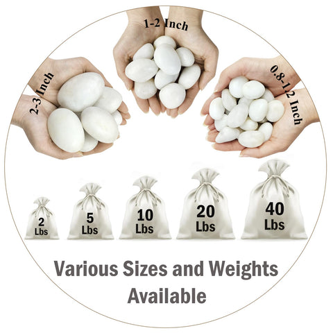 FANTIAN white pebbles around succulents improve drainage and look natural