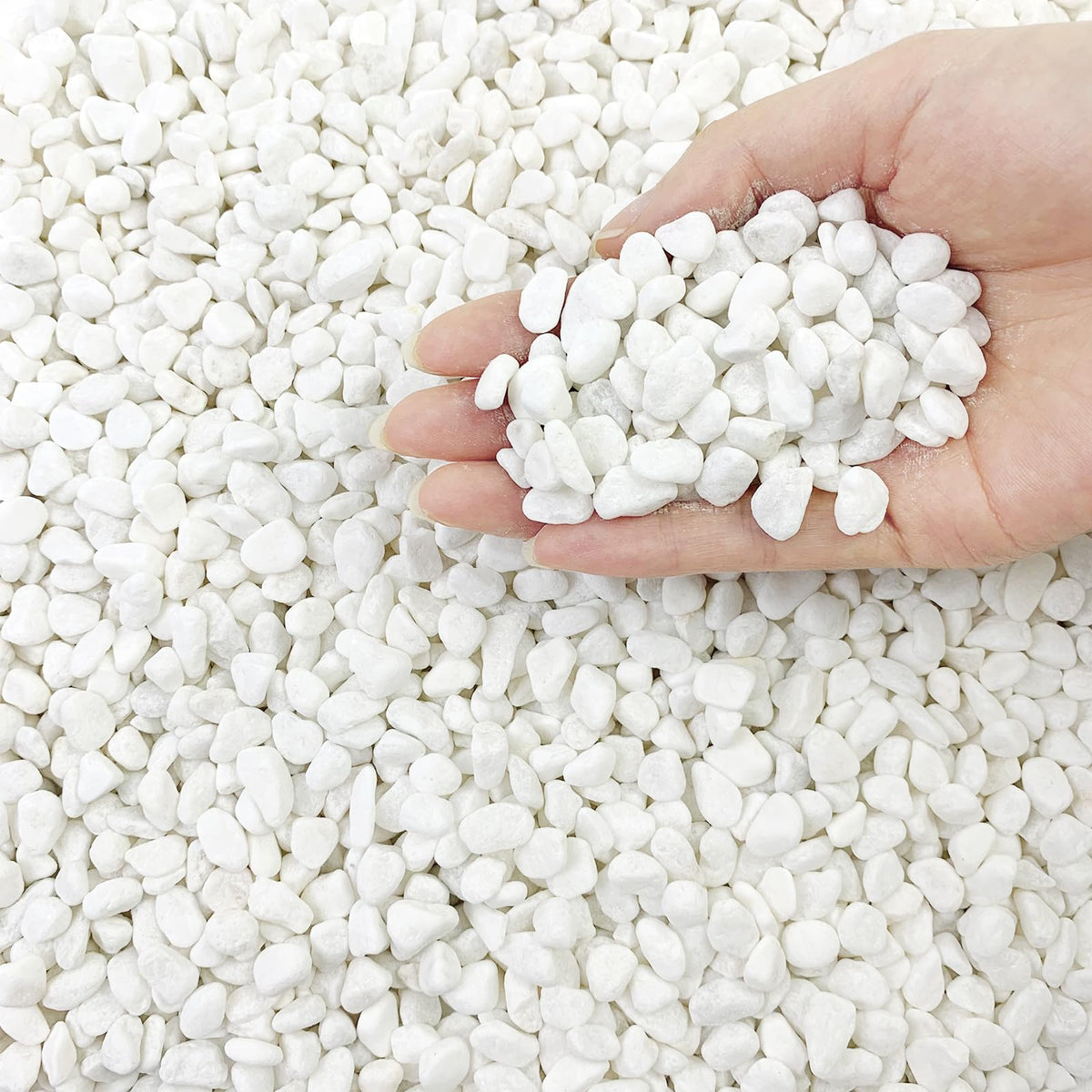 FANTIAN white river rocks 3/8 inch closeup for tidy succulent displays and moisture retention.